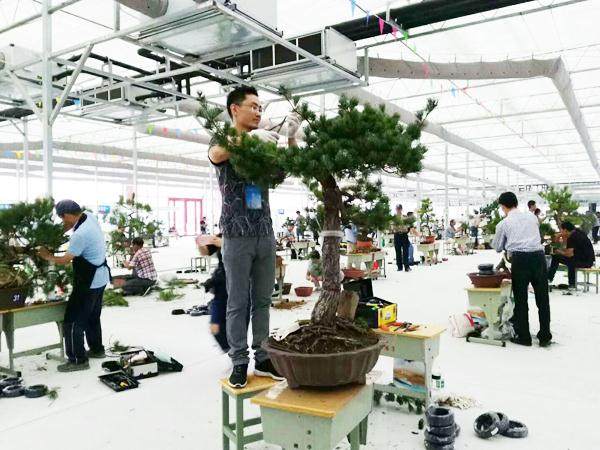 江苏省首届乡土人才传统技艺技能大赛在如皋盛大开幕