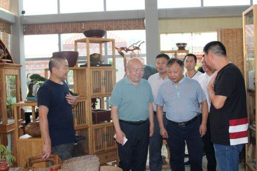 新疆石河子市长钟永毅专程来如皋考察花木盆景产业