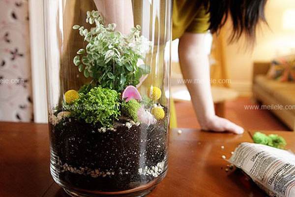 图解 怎么手工diy盆景制作的方法