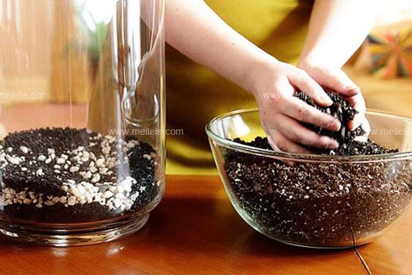 图解 怎么手工diy盆景制作的方法