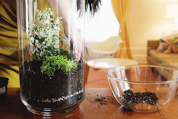 图解 怎么手工diy盆景制作的方法