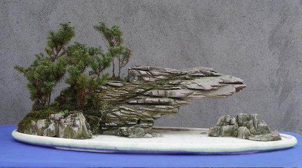 盆景用材的几点思考