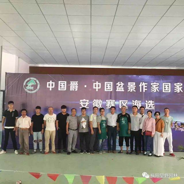 2017中国爵中国盆景作家制作大赛海选活动开始啦