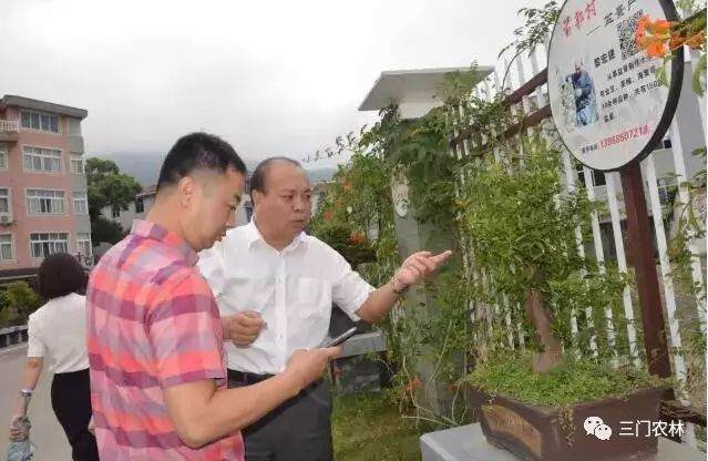 周末歇息-绝无仅有的前郭盆景特色村