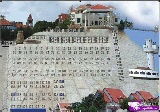 第十三届山东盆景精品展即将开幕啦