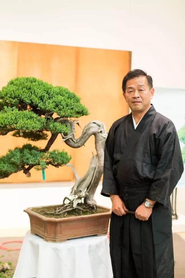 目前世界公认的最好的盆景艺术是日本盆景