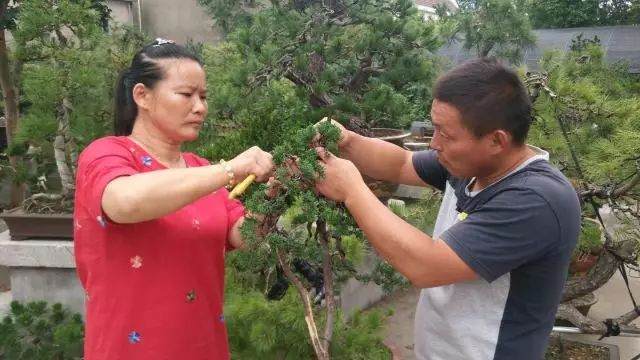 第四届中国风盆景展参展商-吕兴红