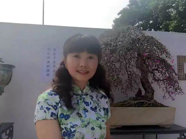 第四届中国风盆景展参展商&mdash;&mdash;袁葱