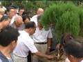第四届中国风盆景展邀请嘉宾-王选民