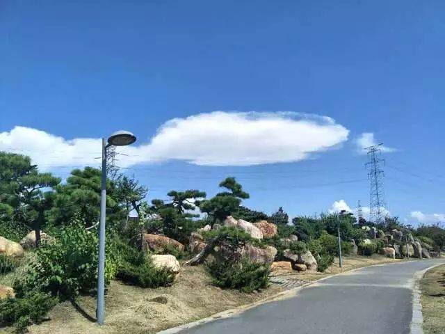 第四届中国风盆景展邀请嘉宾——王永康