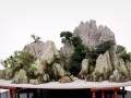 第四届中国风盆景展邀请嘉宾-芮新华