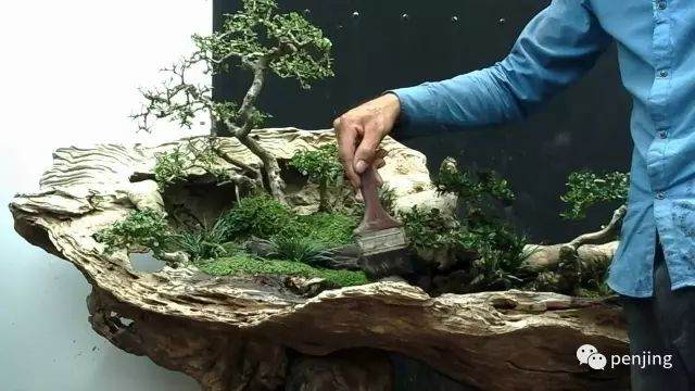 关于山水盆景制作方法之浅见