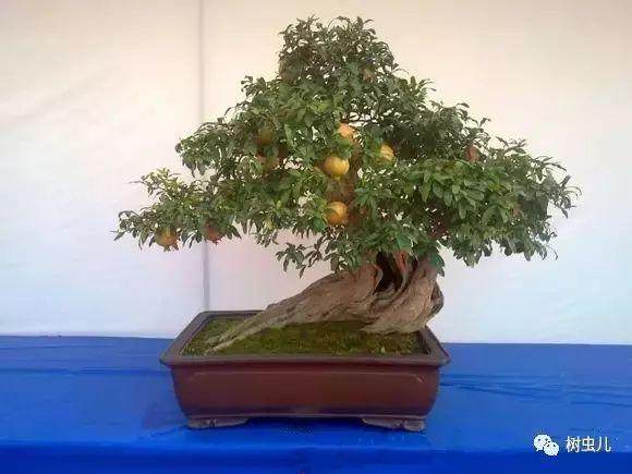 2017第十四届齐文化节开幕式在山东临淄举行