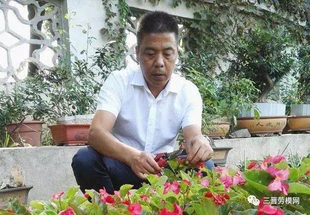 劳模梅复传:让“废枝”变盆景,一年省下数万元