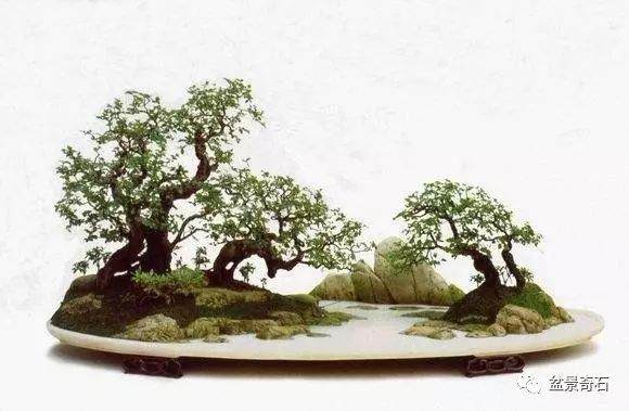 关于盆景与自然的问题&mdash;&mdash;赵庆泉