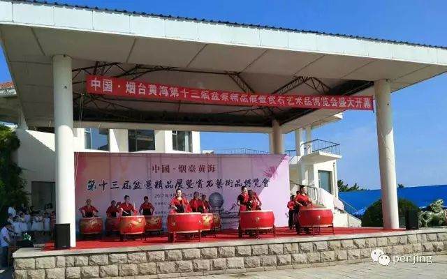 烟台黄海第十三届盆景精品展