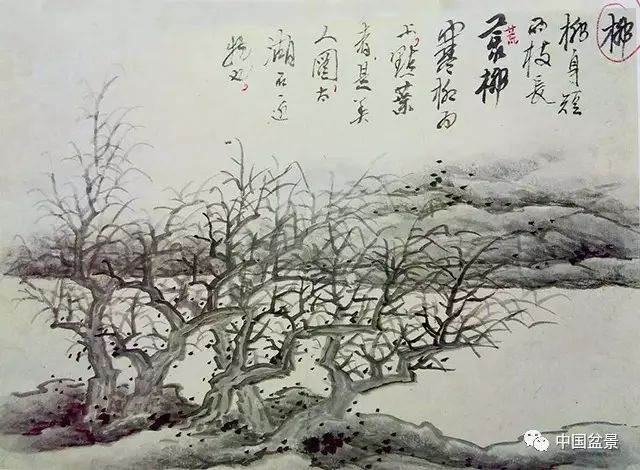 十年树木百年树人——观盆景展览有感