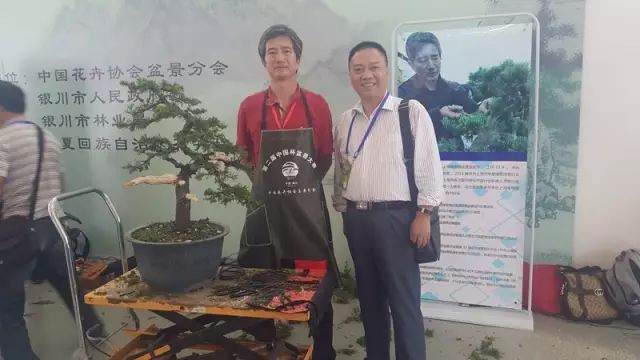 9月17日至23日 第二届中国杯盆景大赛于在银川举办