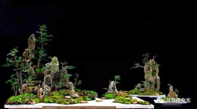 山水盆景艺术的生命到底是什么?