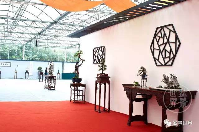 广东籍中国盆景艺术大师、岭南盆景艺术大师同台竞技