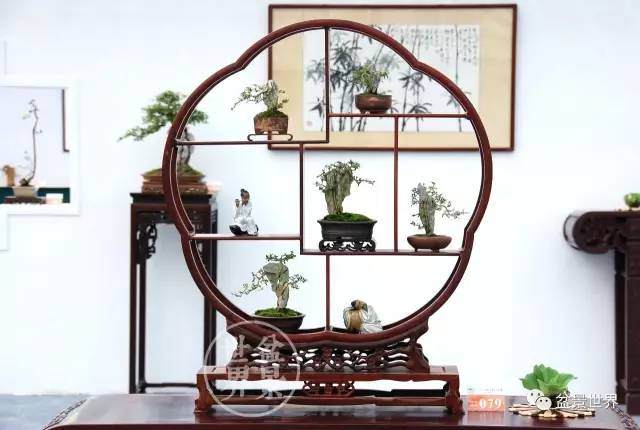 广东籍中国盆景艺术大师、岭南盆景艺术大师同台竞技