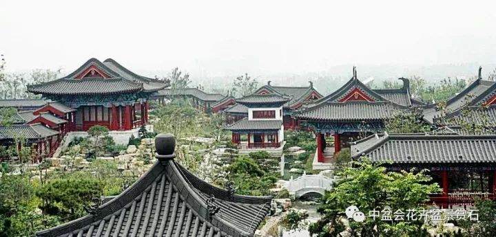 探访河南盆景的崛起欣赏盆景展陈艺术的视觉盛宴