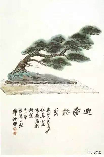 盆景造型艺术的理论是相通的