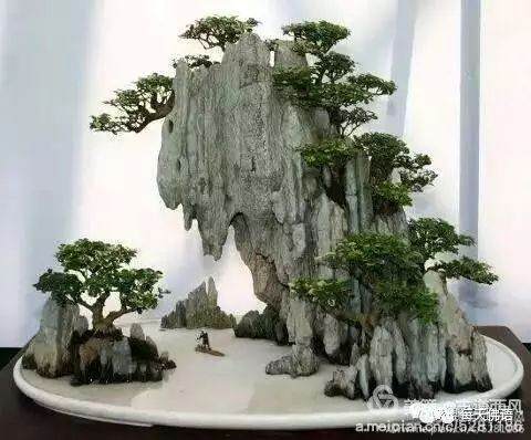 山水方寸：读懂園林水石盆景意蕴