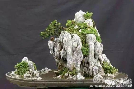 山水方寸：读懂園林水石盆景意蕴