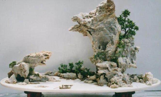 当前盆景鉴赏的几点误区