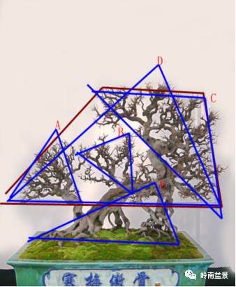 盆景造型的基本理论之(三)——造型的艺术手法