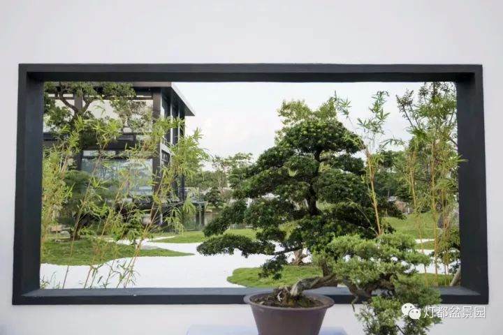 2017年岭南盆景&ldquo;花木城杯&rdquo;摄影大赛