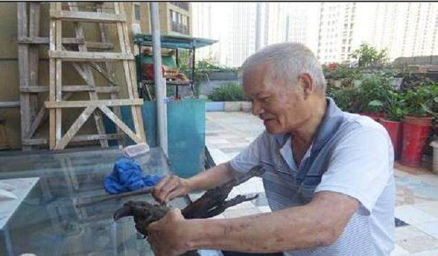 70岁的根雕爱好者一生痴迷盆景、根艺