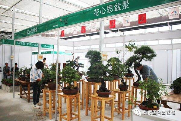 第四届中国风盆景展28日将在如皋国际园艺城盛大召开