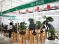 第四届中国风盆景展28日将在如皋国际园艺城盛大召开