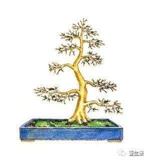 盆景修剪最基本的原理 这些你要懂