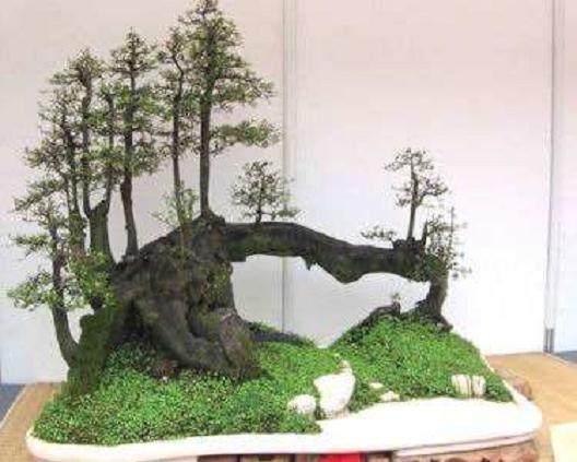 办好鄢陵县第十一届中原花木交易博览会