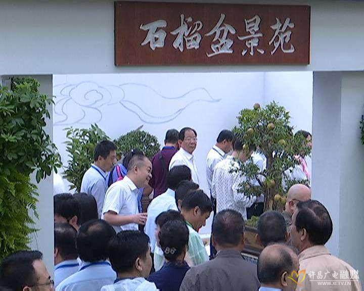 第十五届中州盆景展亮相鄢陵