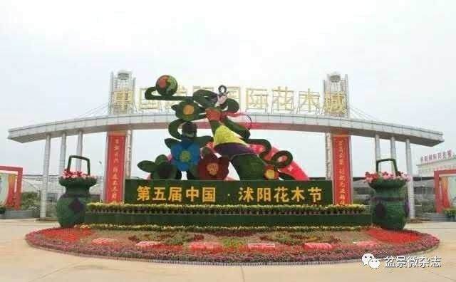 九月的三大盆景展哪家强？都是不容错过的盆景展