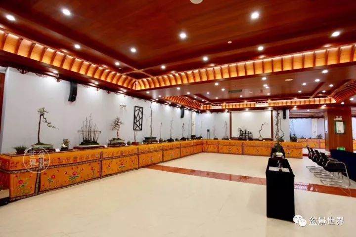 9月28日素仁格盆景艺术展览对外开放仅展两天