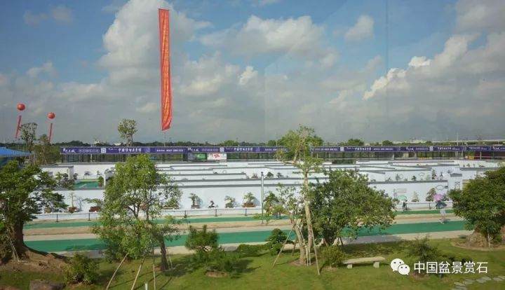 广东盆景协会成立30周年千盆盆景展今日盛大开幕