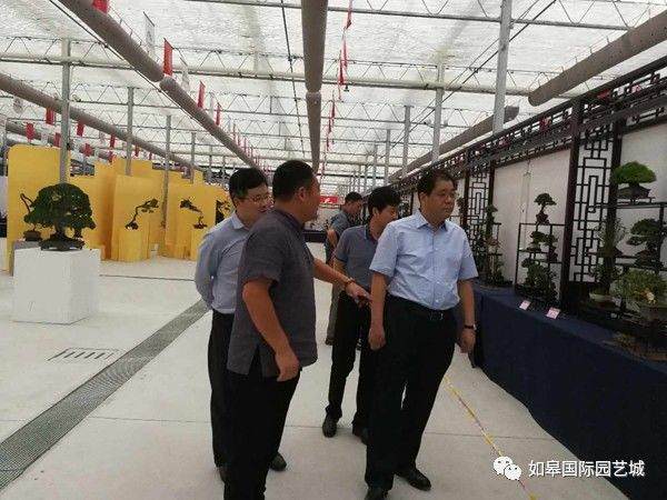 市委书记陈晓东视察中国风盆景展活动现场