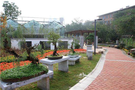 大河报·大河客户端记者 贺笑天 通讯员 程晨 文图