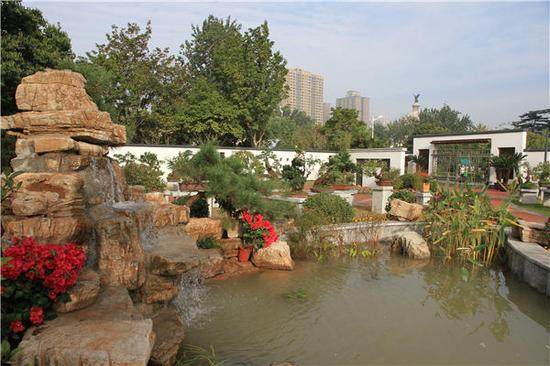 郑州市碧沙岗公园承办第四届盆景展
