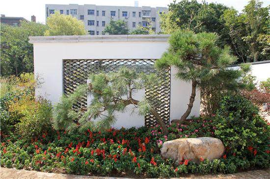 郑州市碧沙岗公园承办第四届盆景展