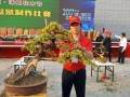 上海植物园盆景技师赵伟喜获全国盆景制作比赛金奖
