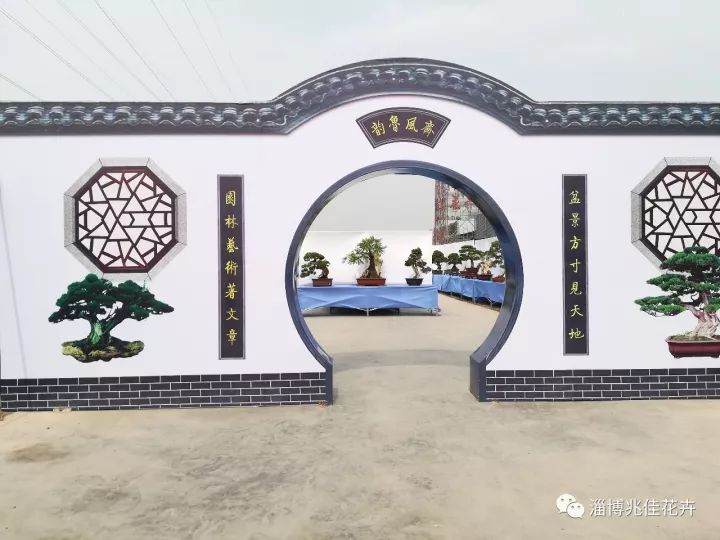 山东盆景精品展即将开幕啦