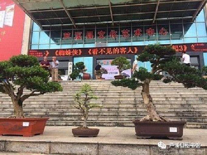 九十周年盆景奇石艺术作品展在芦潇展厅展出