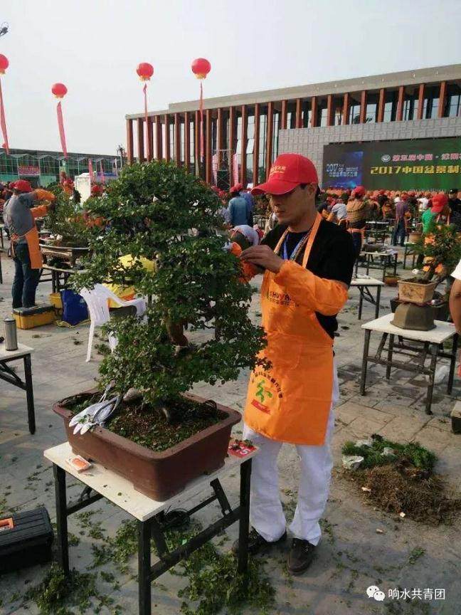 我县青年姜玮喜获中国盆景制作大赛金奖