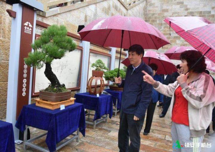 第四届盆景艺术展启动仪式在我县举行